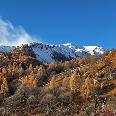 Warm Two-room In La Foux * ألو